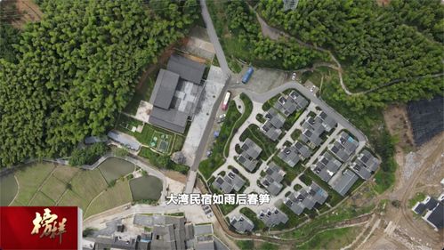綠色大灣村 紅色旅游與茶香迎客，繪就特色發展新畫卷